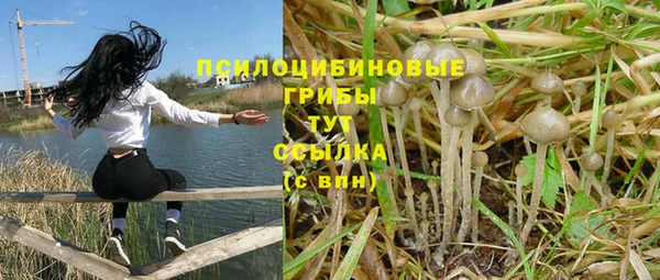 МДМА Козловка