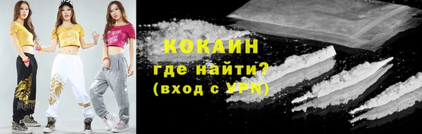 дмт Кодинск