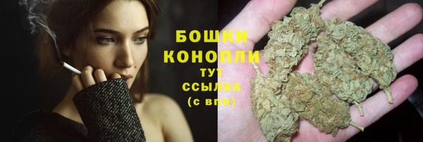 PSILOCYBIN Воткинск