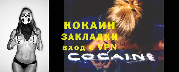 дмт Кодинск