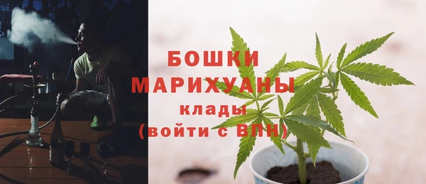 молекула духа Всеволожск