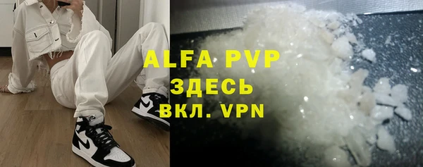 ГАЛЛЮЦИНОГЕННЫЕ ГРИБЫ Корсаков