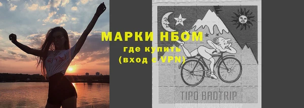 дмт Кодинск