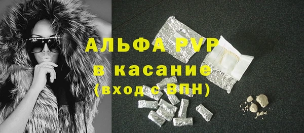 ГАЛЛЮЦИНОГЕННЫЕ ГРИБЫ Корсаков