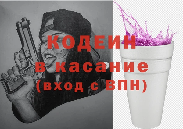 ГАЛЛЮЦИНОГЕННЫЕ ГРИБЫ Корсаков