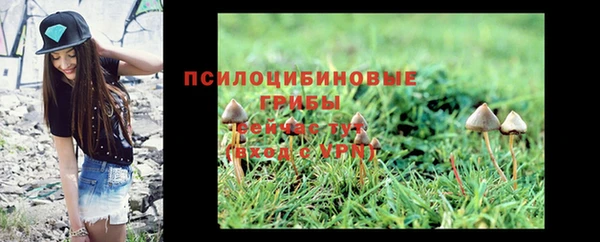 дмт Кодинск