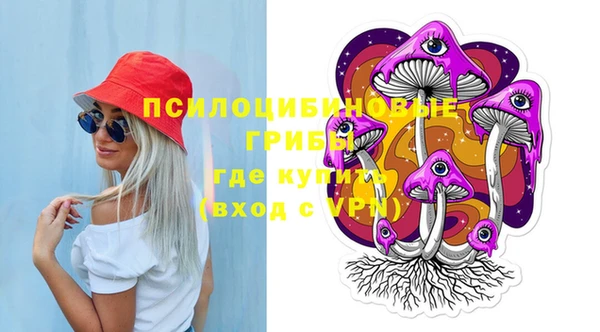 МДМА Козловка