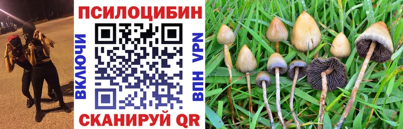Псилоцибиновые грибы мицелий  Котельниково 